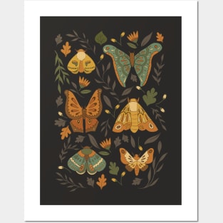 Autumn Moths Posters and Art